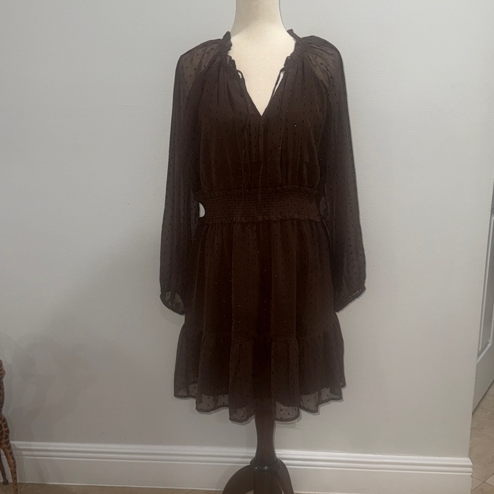Elegant Brown Sheer Dress